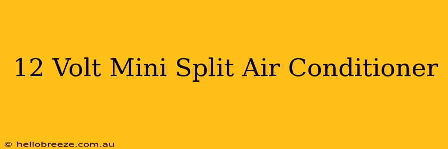 12 Volt Mini Split Air Conditioner