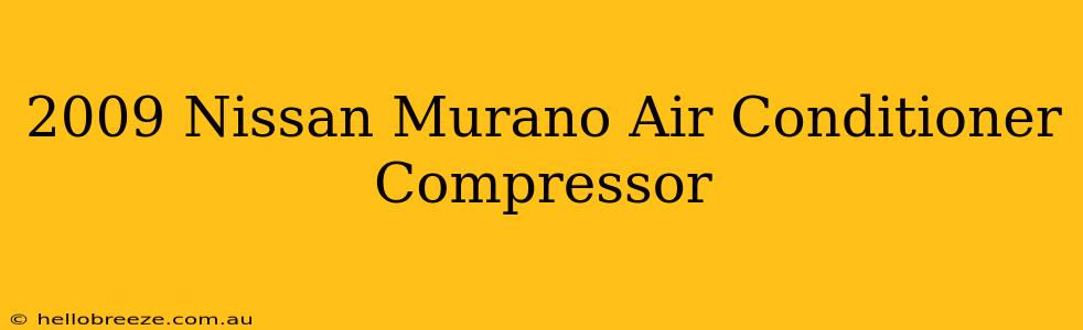 2009 Nissan Murano Air Conditioner Compressor