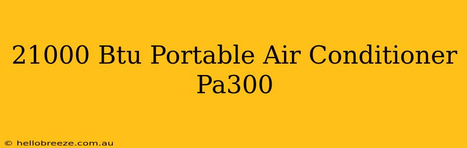 21000 Btu Portable Air Conditioner Pa300