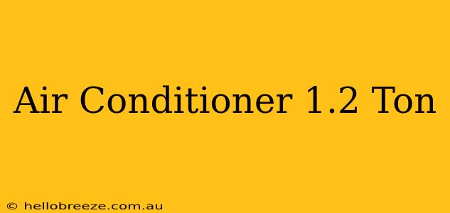 Air Conditioner 1.2 Ton