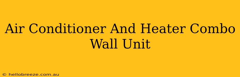 Air Conditioner And Heater Combo Wall Unit