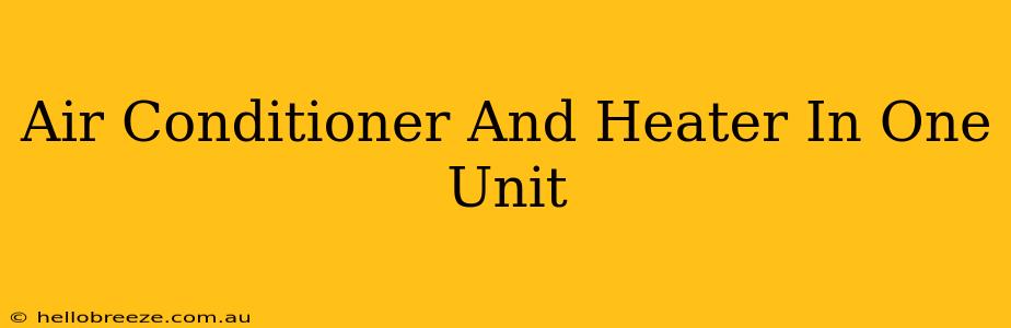 Air Conditioner And Heater In One Unit