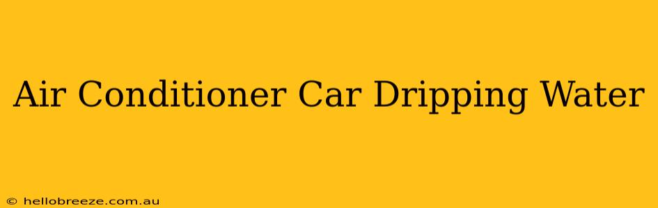 Air Conditioner Car Dripping Water