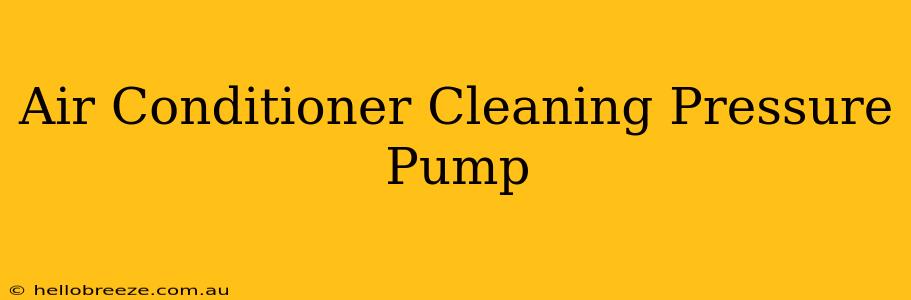 Air Conditioner Cleaning Pressure Pump