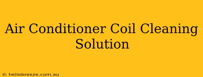 Air Conditioner Coil Cleaning Solution