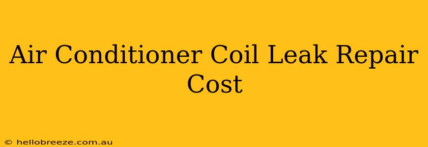 Air Conditioner Coil Leak Repair Cost