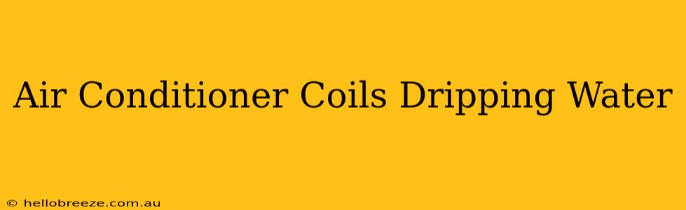 Air Conditioner Coils Dripping Water