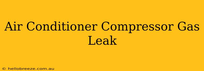 Air Conditioner Compressor Gas Leak