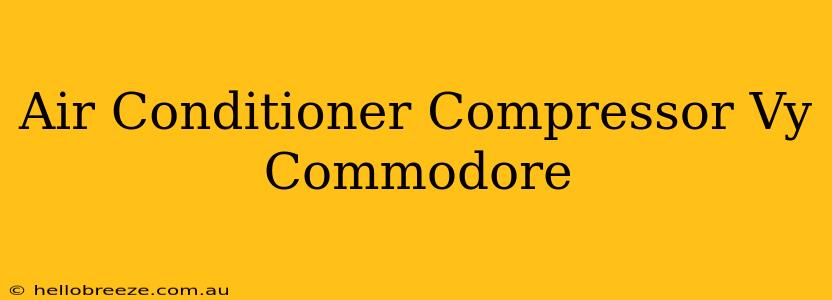 Air Conditioner Compressor Vy Commodore