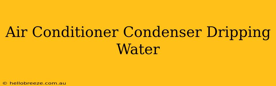 Air Conditioner Condenser Dripping Water