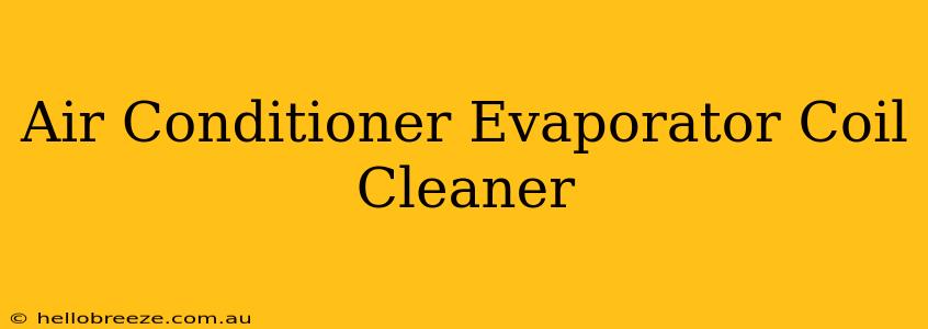 Air Conditioner Evaporator Coil Cleaner