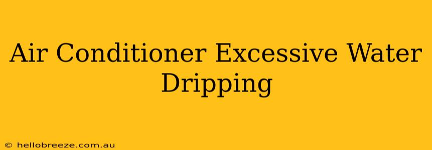 Air Conditioner Excessive Water Dripping