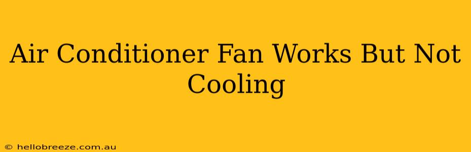 Air Conditioner Fan Works But Not Cooling