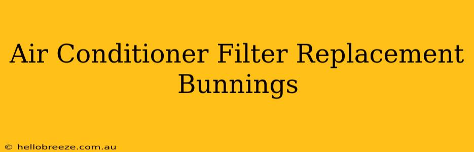 Air Conditioner Filter Replacement Bunnings