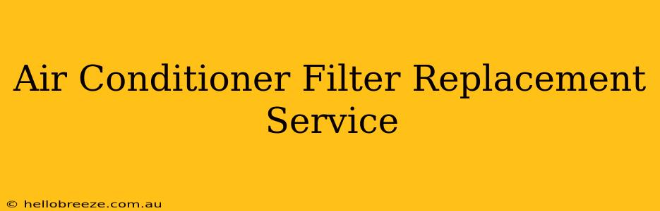 Air Conditioner Filter Replacement Service