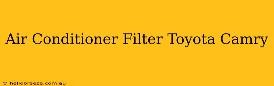 Air Conditioner Filter Toyota Camry