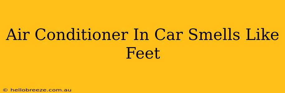 Air Conditioner In Car Smells Like Feet