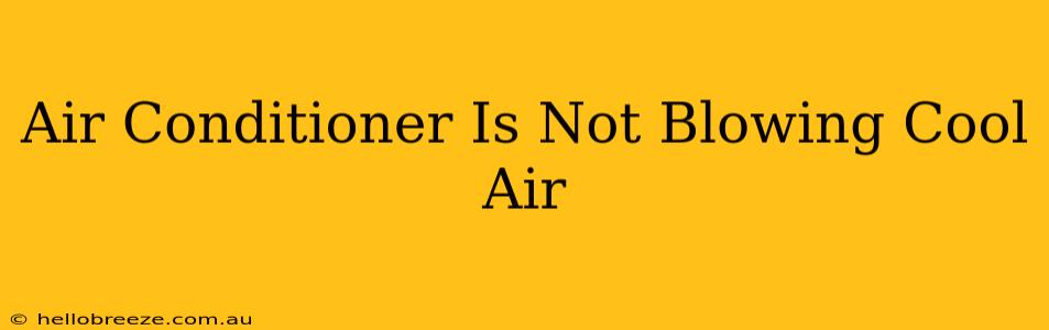 Air Conditioner Is Not Blowing Cool Air