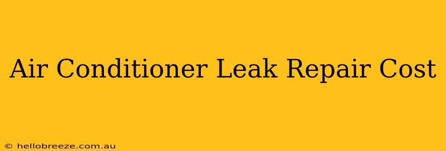 Air Conditioner Leak Repair Cost