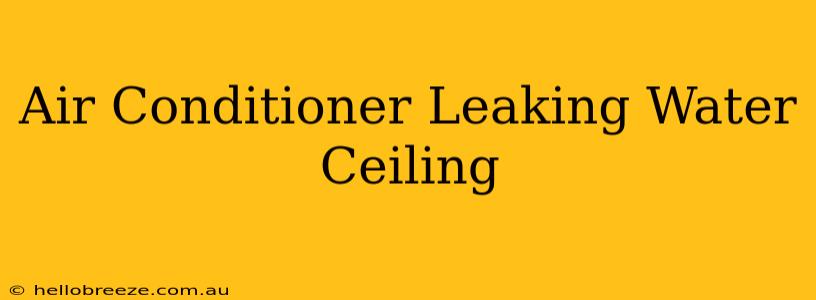 Air Conditioner Leaking Water Ceiling