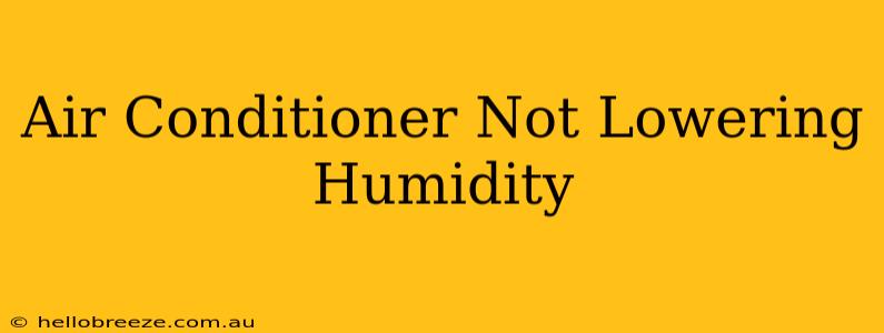 Air Conditioner Not Lowering Humidity