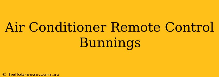 Air Conditioner Remote Control Bunnings