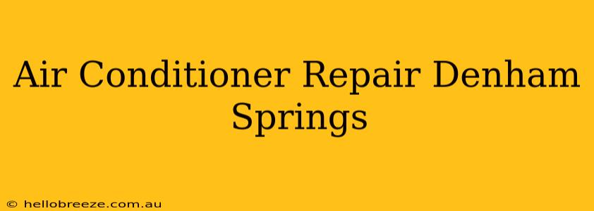 Air Conditioner Repair Denham Springs