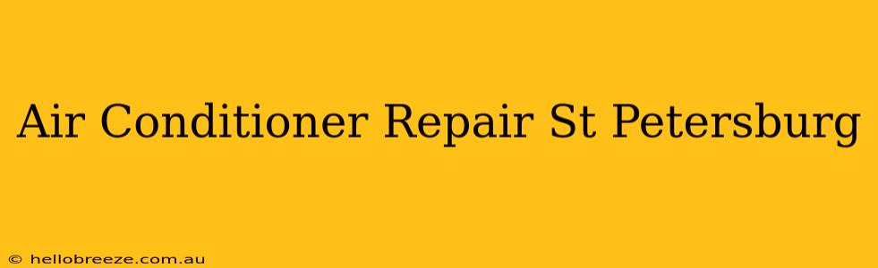 Air Conditioner Repair St Petersburg