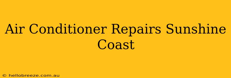 Air Conditioner Repairs Sunshine Coast