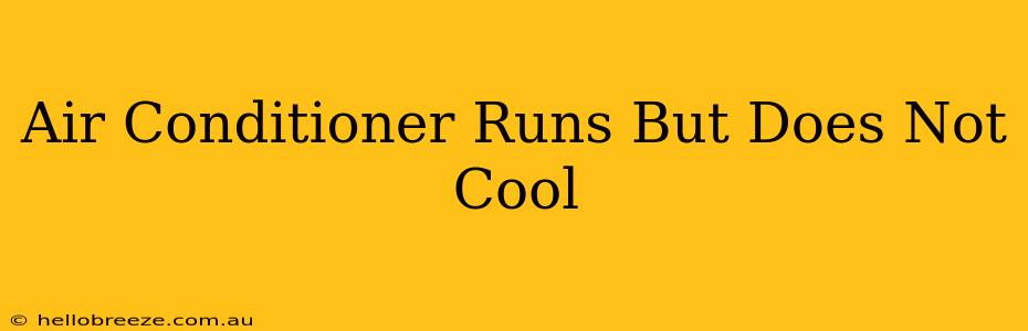 Air Conditioner Runs But Does Not Cool