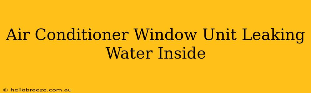 Air Conditioner Window Unit Leaking Water Inside