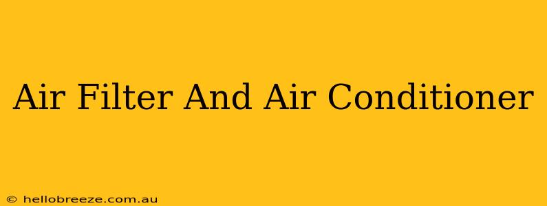 Air Filter And Air Conditioner