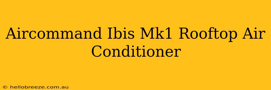 Aircommand Ibis Mk1 Rooftop Air Conditioner