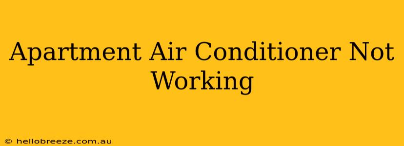 Apartment Air Conditioner Not Working