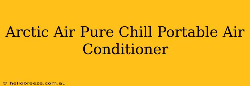 Arctic Air Pure Chill Portable Air Conditioner