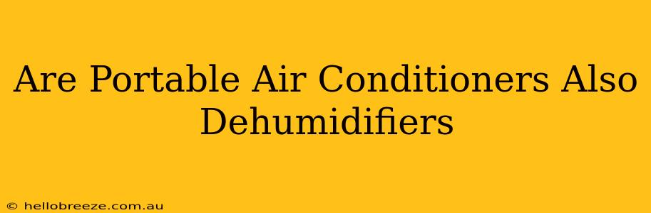 Are Portable Air Conditioners Also Dehumidifiers