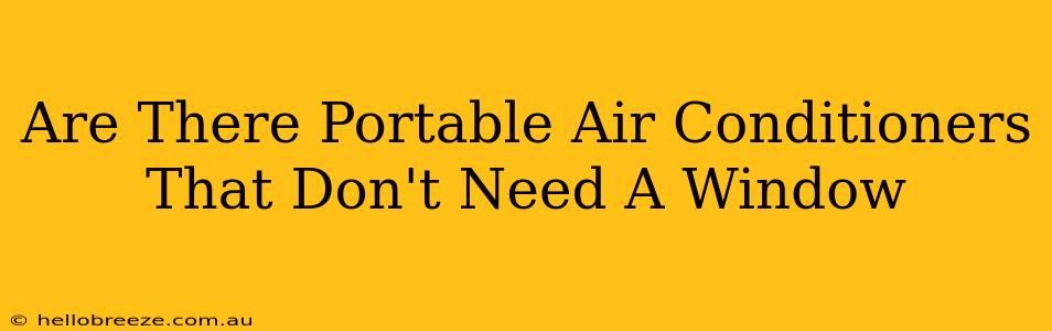 Are There Portable Air Conditioners That Don't Need A Window