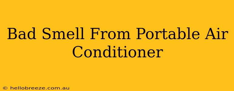 Bad Smell From Portable Air Conditioner