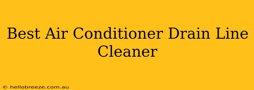 Best Air Conditioner Drain Line Cleaner