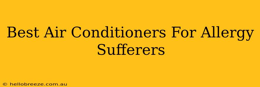 Best Air Conditioners For Allergy Sufferers