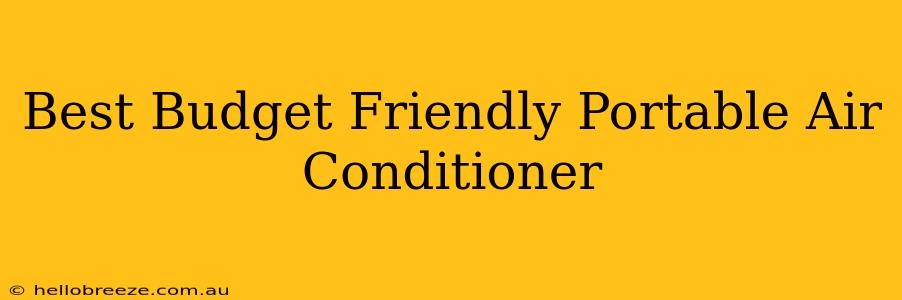 Best Budget Friendly Portable Air Conditioner