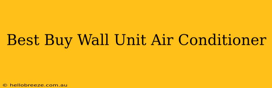 Best Buy Wall Unit Air Conditioner