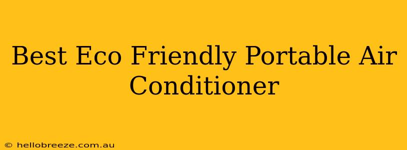 Best Eco Friendly Portable Air Conditioner