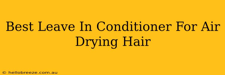 Best Leave In Conditioner For Air Drying Hair