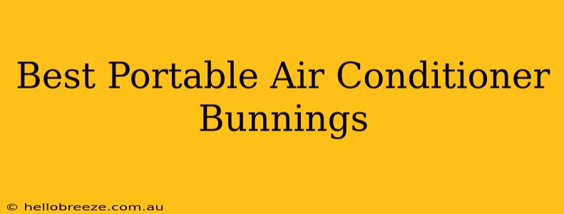 Best Portable Air Conditioner Bunnings