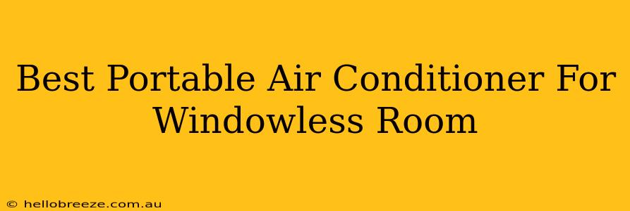 Best Portable Air Conditioner For Windowless Room