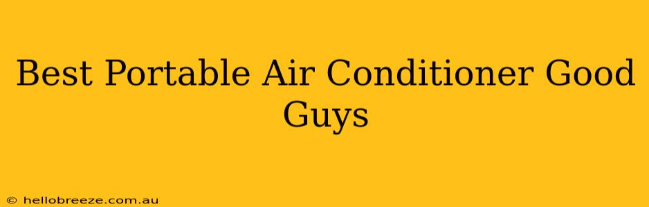 Best Portable Air Conditioner Good Guys