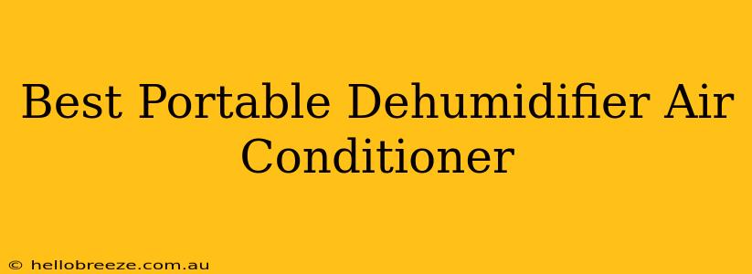 Best Portable Dehumidifier Air Conditioner