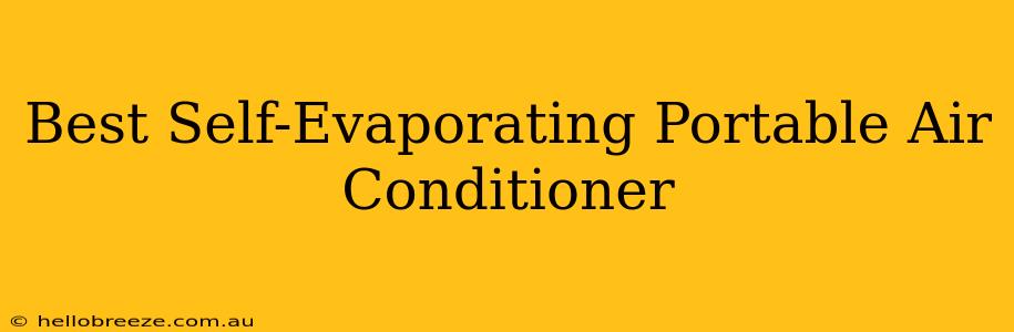 Best Self-Evaporating Portable Air Conditioner