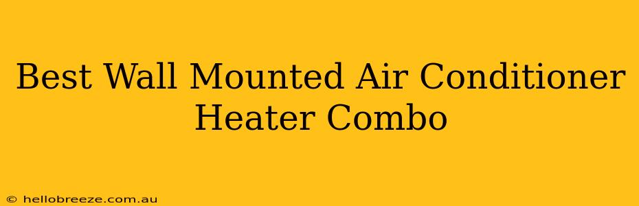 Best Wall Mounted Air Conditioner Heater Combo